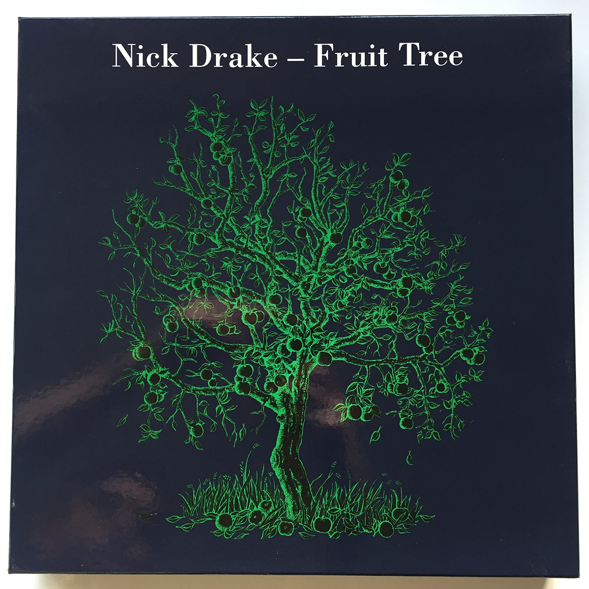 Nick Drake – Fruit Tree artwork